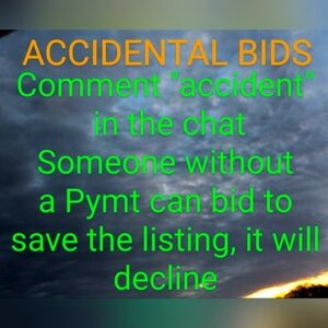 ACCIDENTAL BIDS POLICY